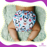 Reusable Baby Cloth Diaper with Adjustable Snap Buttons and Inserts (Set of 2)